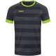 Trikot Celtic Melange Kurzarm anthrazit/lemon Bild an Person