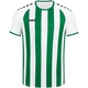 Trikot Inter Kurzarm weiß/sportgrün Vorderansicht