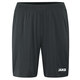 Sporthose Manchester 2.0 ohne Innenslip anthrazit Vorderansicht