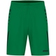 Sporthose Challenge sportgrün/schwarz Vorderansicht