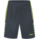 Sporthose Allround anthrazit/lemon Vorderansicht