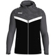 Kapuzenjacke Iconic  schwarz/anthrazit Bild an Person