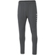 Trainingshose Premium anthra light Bild an Person