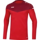 Sweat Champ 2.0 rot/weinrot Bild an Person