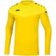 Sweat Champ 2.0 citro/citro light Bild an Person