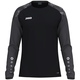 Longsleeve Sonic zwart/antraciet Voorkant