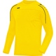 Sweater Classico citroen Voorkant