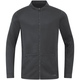 Jacke Pro Casual aschgrau Vorderansicht