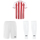 Spieltrikot-Set • Away