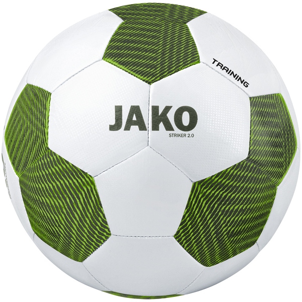 Trainingsball TLS 