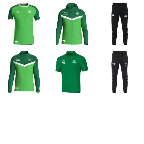 Basis Set Aktive 