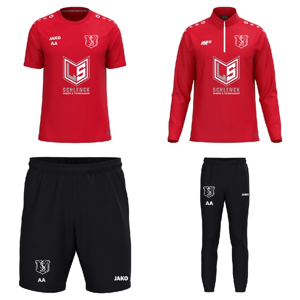 Training-Set Sponsor 