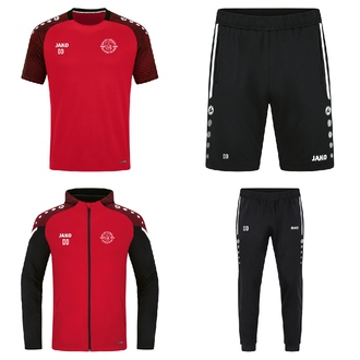 Starter-Set Volleyball - Jungs 