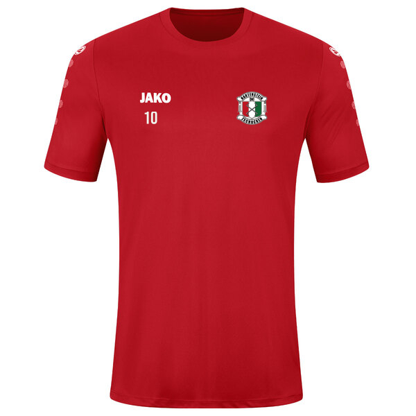 Trikot Team kurzarm 