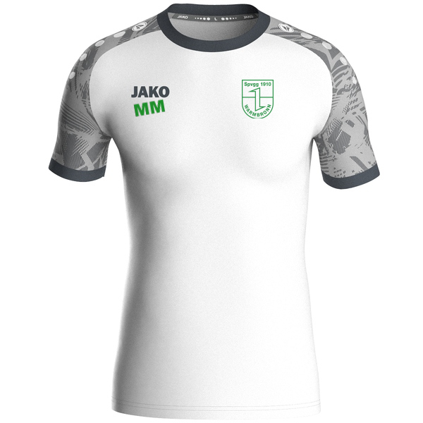 Trikot Iconic kurzarm 