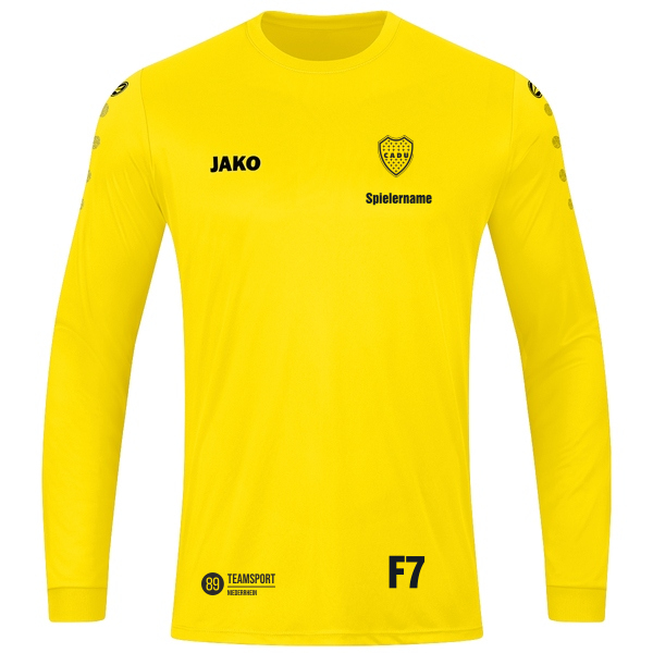 Trikot Team langarm 