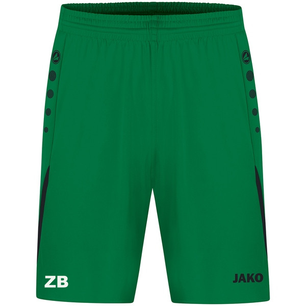 Sporthose Challenge 