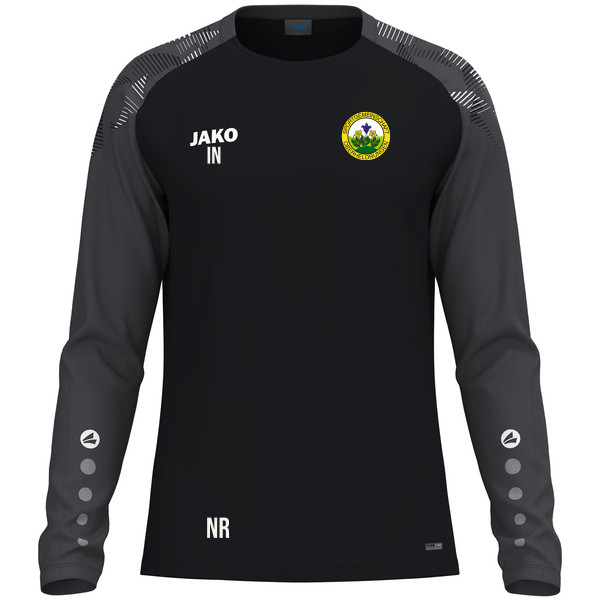 Longsleeve Sonic 
