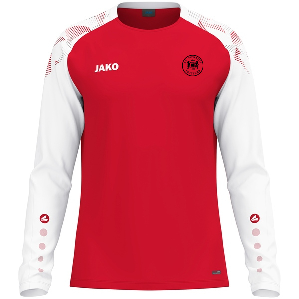 Maillot Sonic ML 