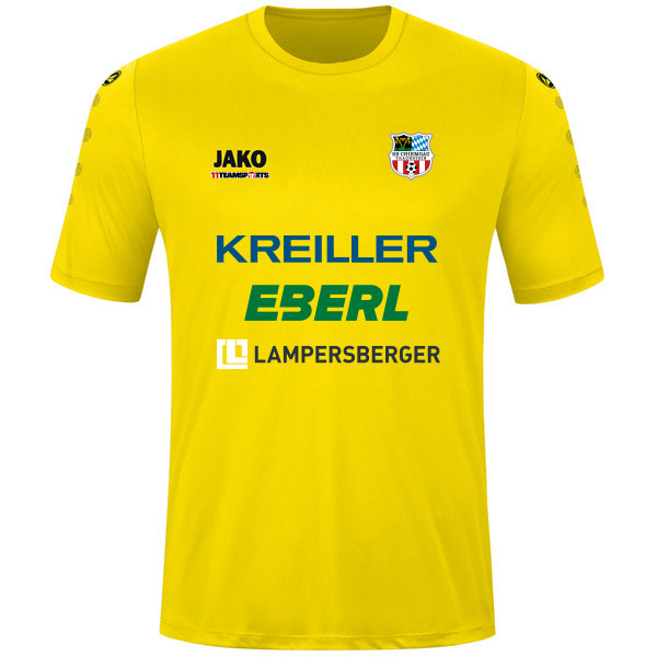 Trikot Team kurzarm 