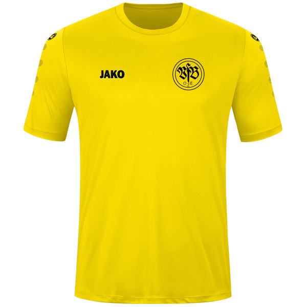 Trikot Team kurzarm 
