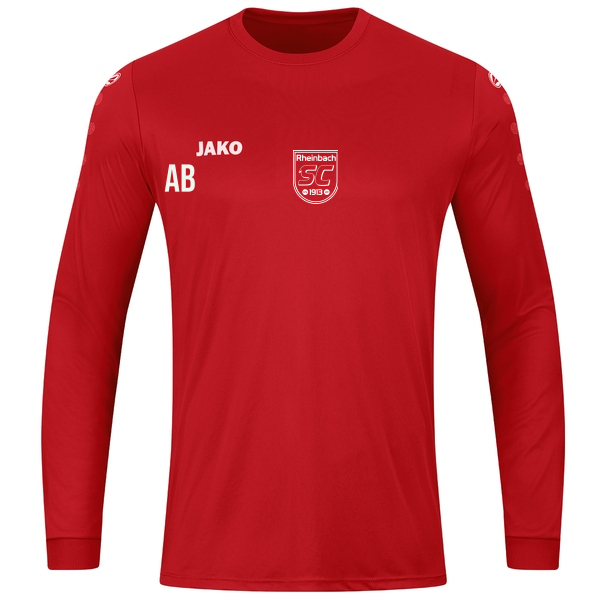Trikot Team langarm 