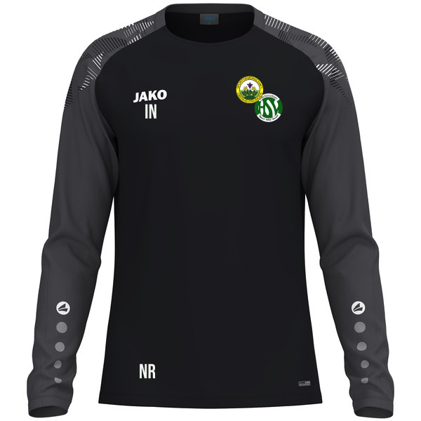 Longsleeve Sonic 