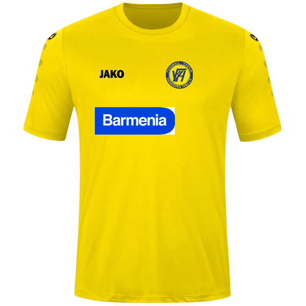 Trikot Team kurzarm 
