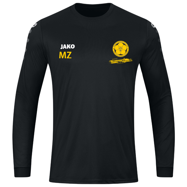 Trikot Team langarm 