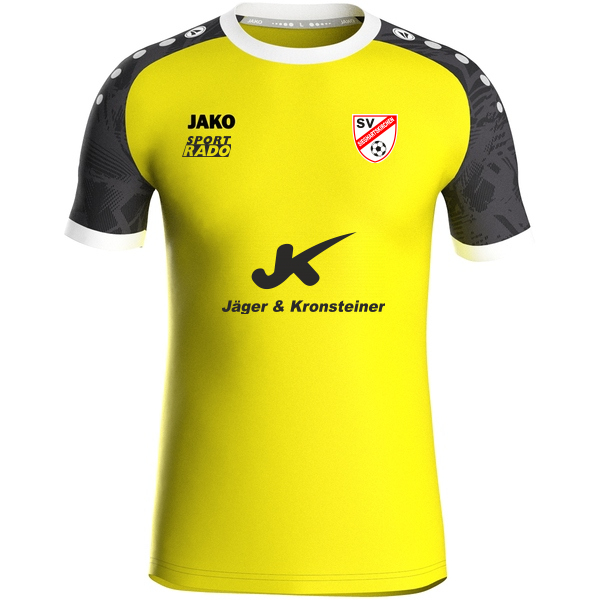 Trikot Iconic kurzarm 