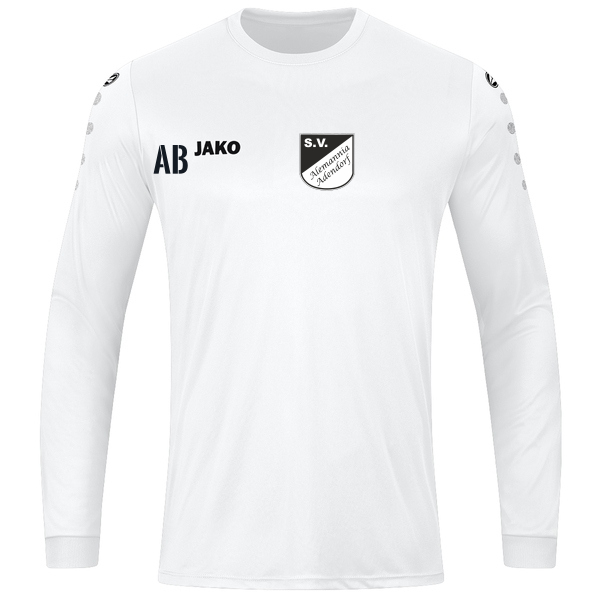Trikot Team langarm 