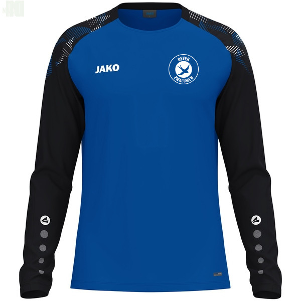 Longsleeve Sonic 