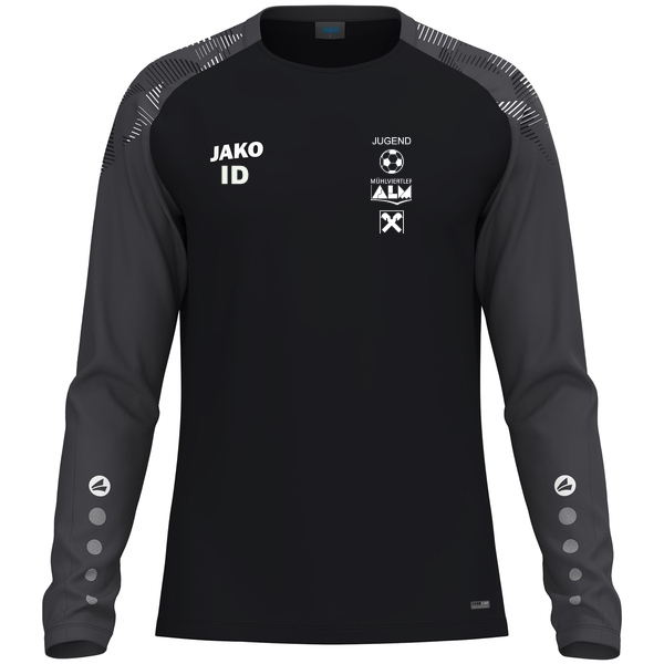 Longsleeve Sonic 