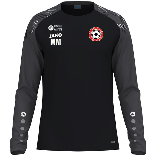 Longsleeve Sonic 