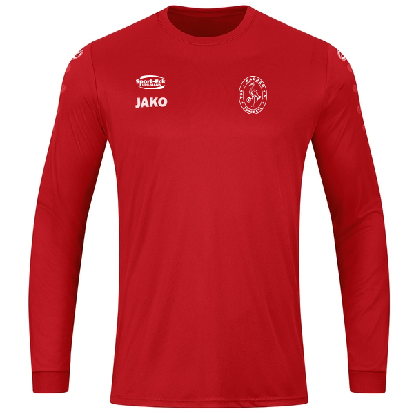 Trikot Team langarm 