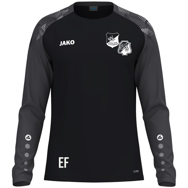 Longsleeve Sonic 