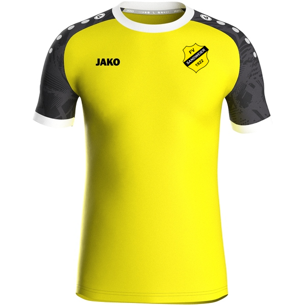 Trikot Iconic kurzarm 