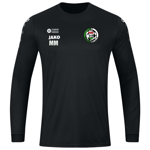 Trikot Team langarm 