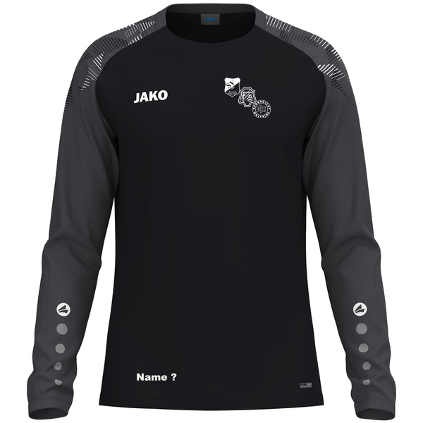 Longsleeve Sonic 
