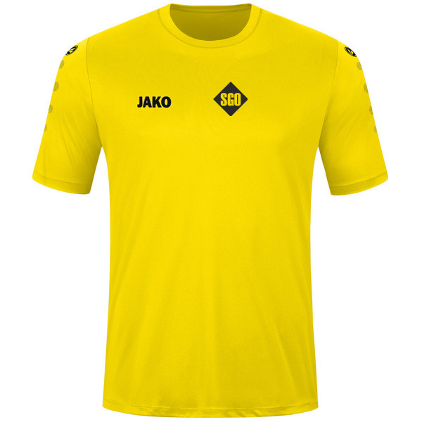 Trikot Team kurzarm 