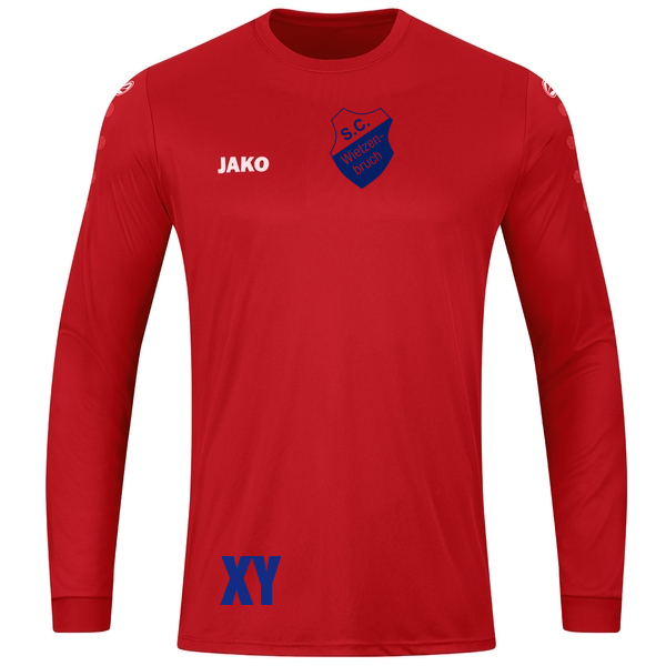 Trikot Team langarm 