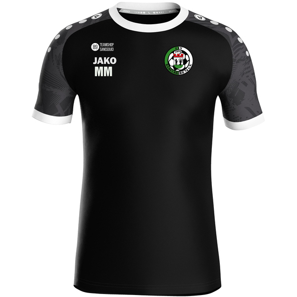 Trikot Iconic kurzarm 