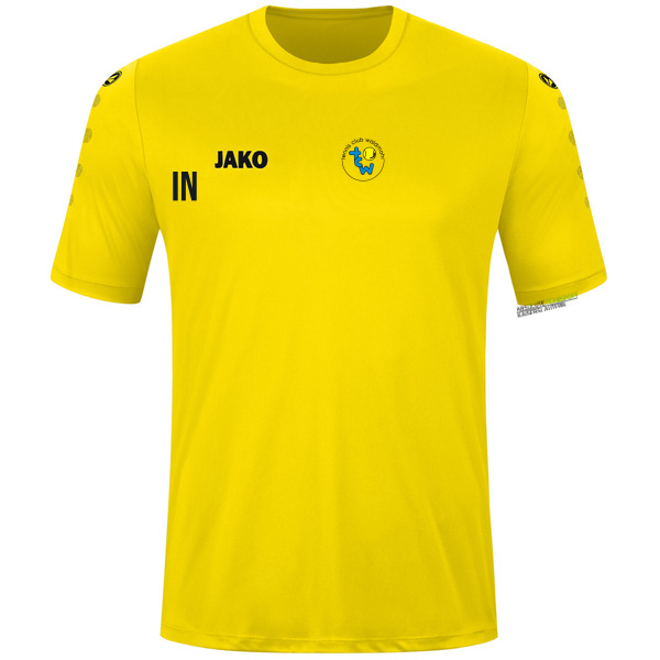 Trikot Team kurzarm 