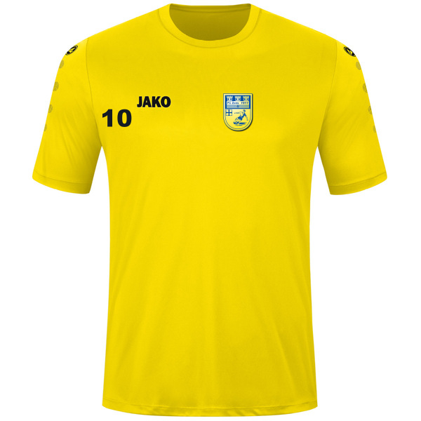 Trikot Team kurzarm 
