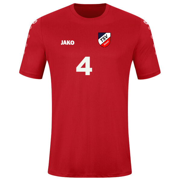 Trikot Team kurzarm 
