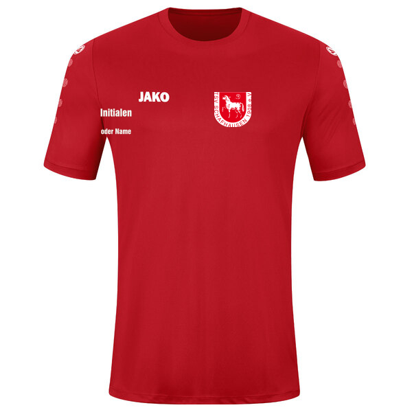 Trikot Team kurzarm 