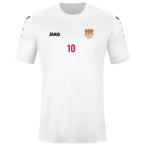 Trikot Team kurzarm 