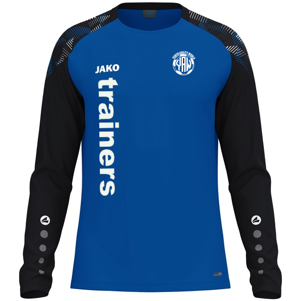 Longsleeve Sonic 