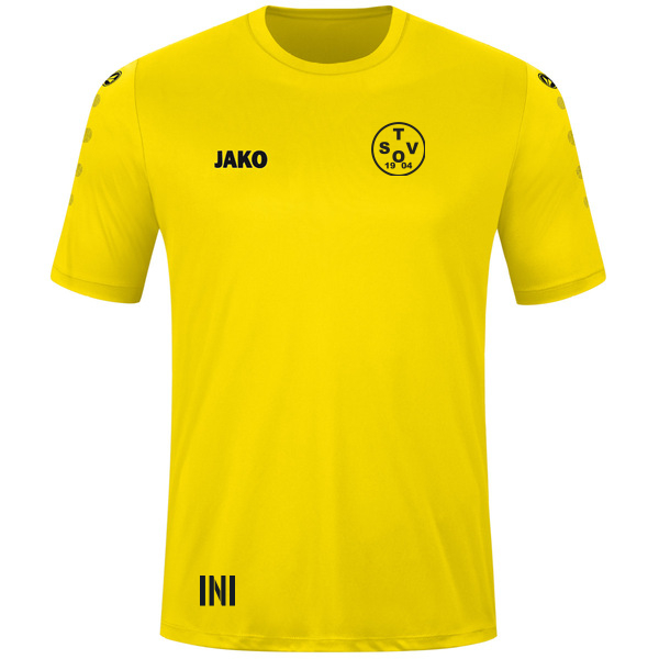 Trikot Team kurzarm 