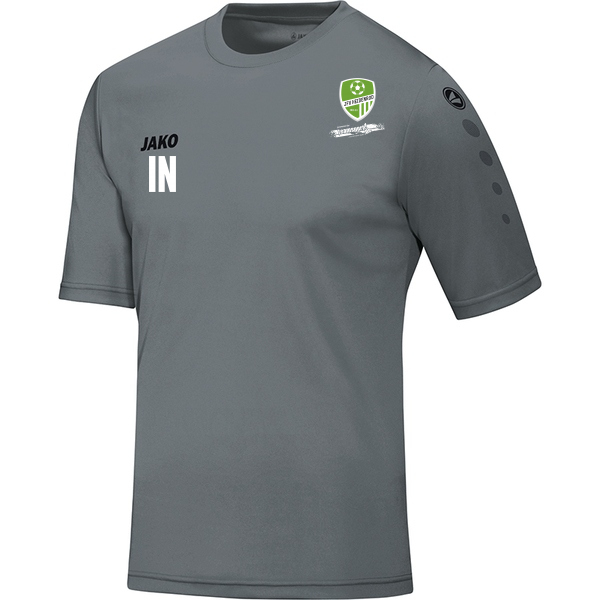 Trikot Team kurzarm 